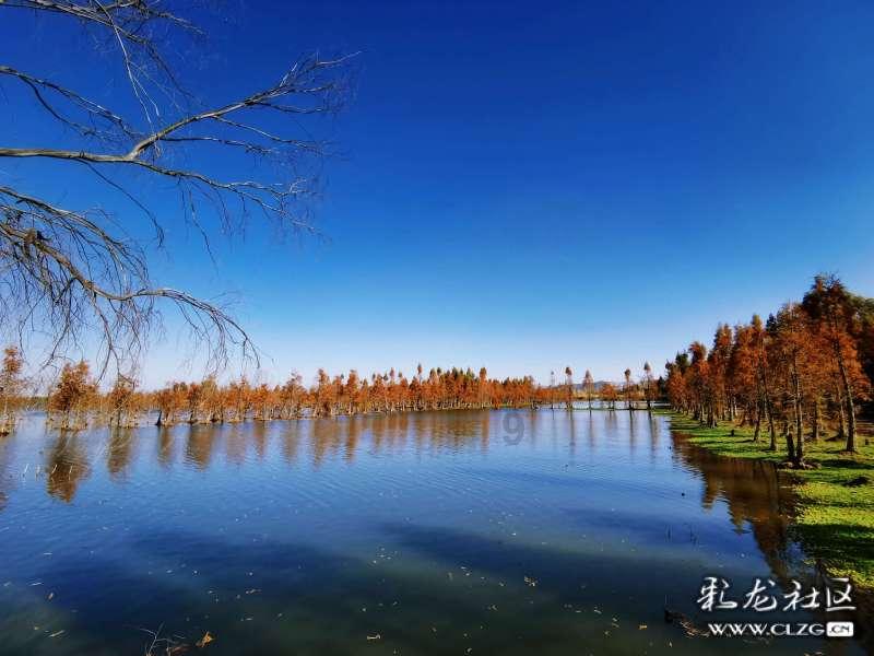 村级经济助力乡村振兴